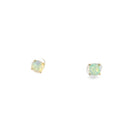 9kt Yellow Gold pair of 3.5mm Crystal Opal earrings studs - Masterpiece Jewellery Opal & Gems Sydney Australia | Online Shop