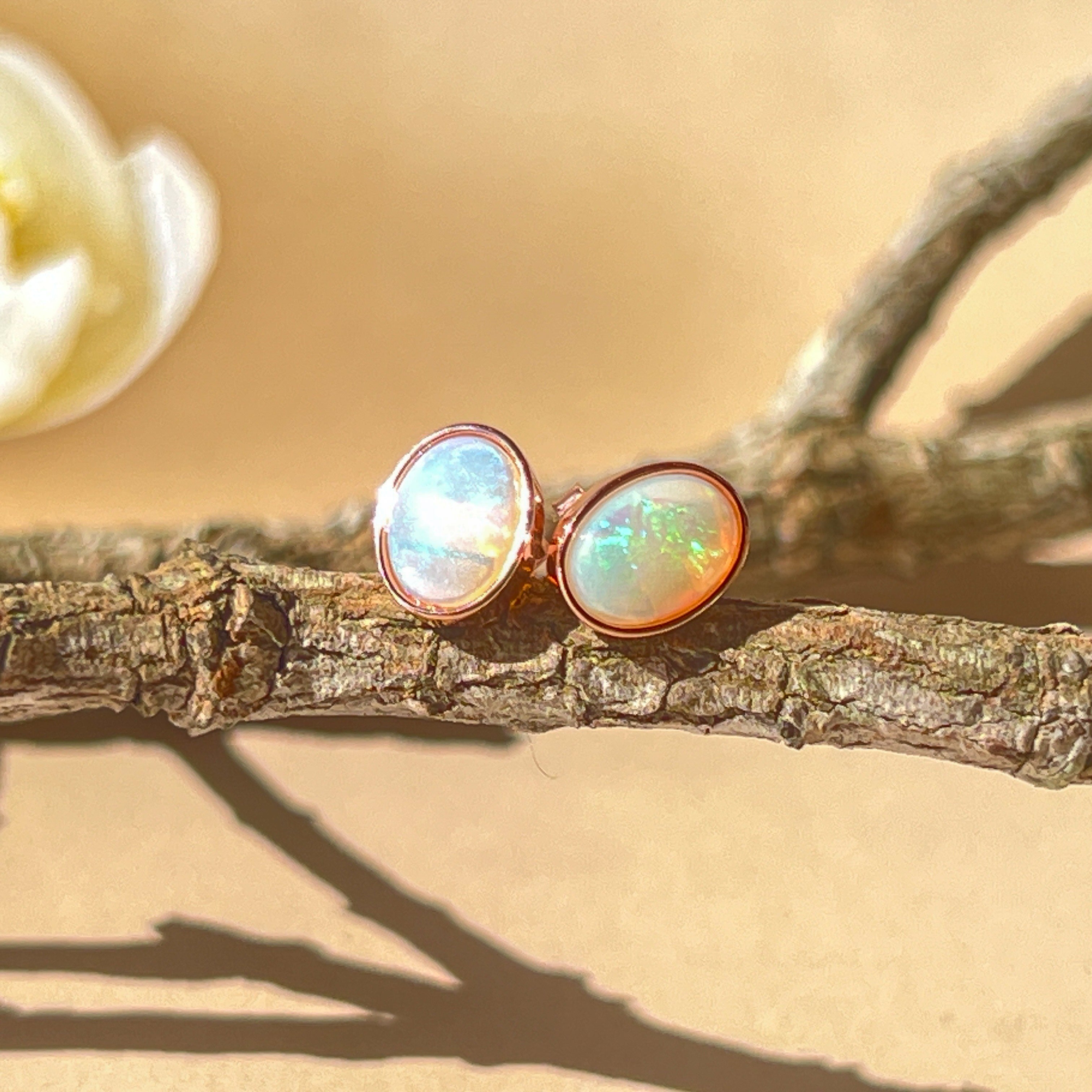 Rose Gold plated 8x6mm White Opal earrings studs bezel set - Masterpiece Jewellery Opal & Gems Sydney Australia | Online Shop