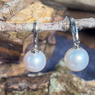 South Sea Pearl 10-11mm pair of dangling 18kt White Gold earrings - Masterpiece Jewellery Opal & Gems Sydney Australia | Online Shop