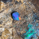 Loose Opal doublet 1.51ct - Masterpiece Jewellery Opal & Gems Sydney Australia | Online Shop