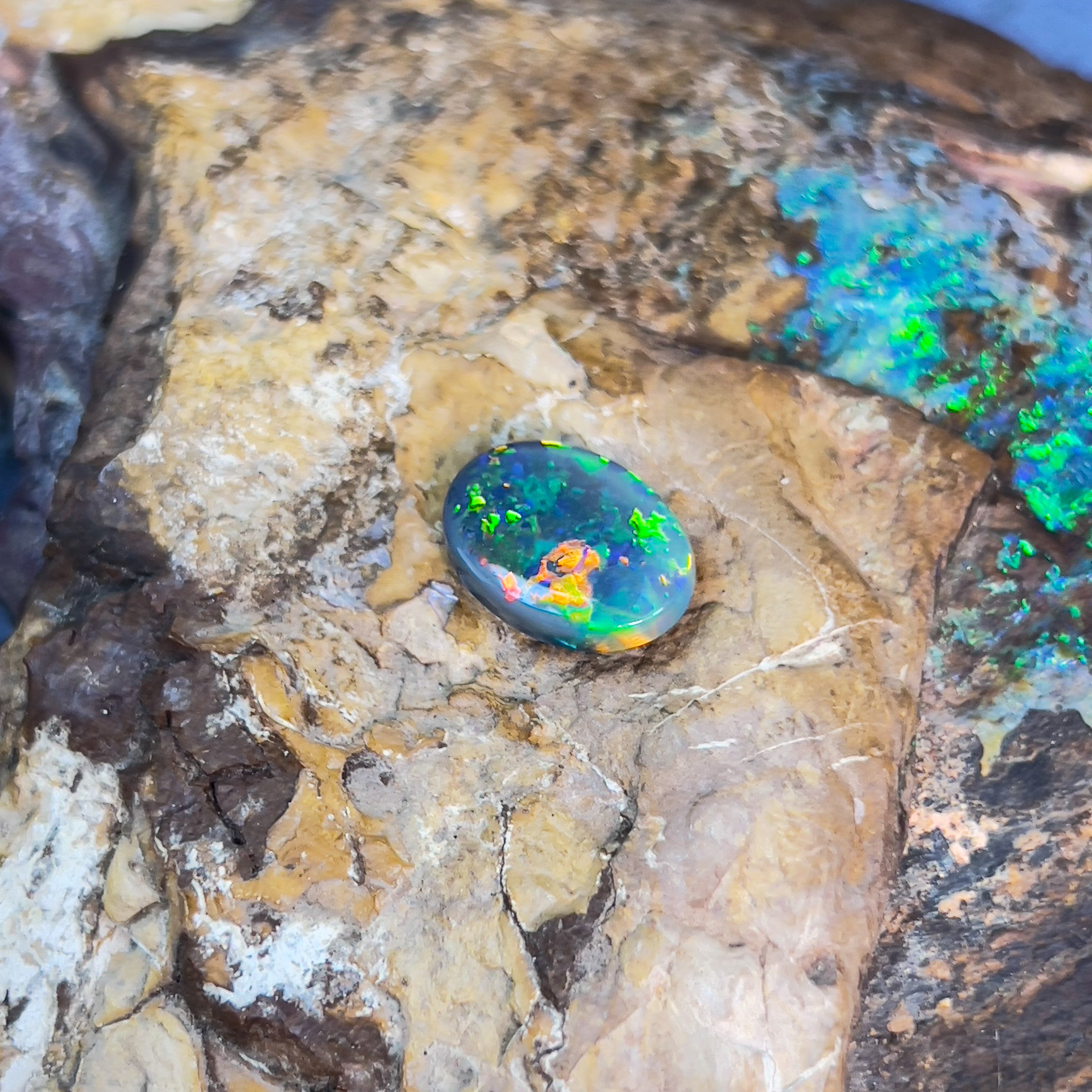 Black Opal 3.35ct Oval - Masterpiece Jewellery Opal & Gems Sydney Australia | Online Shop