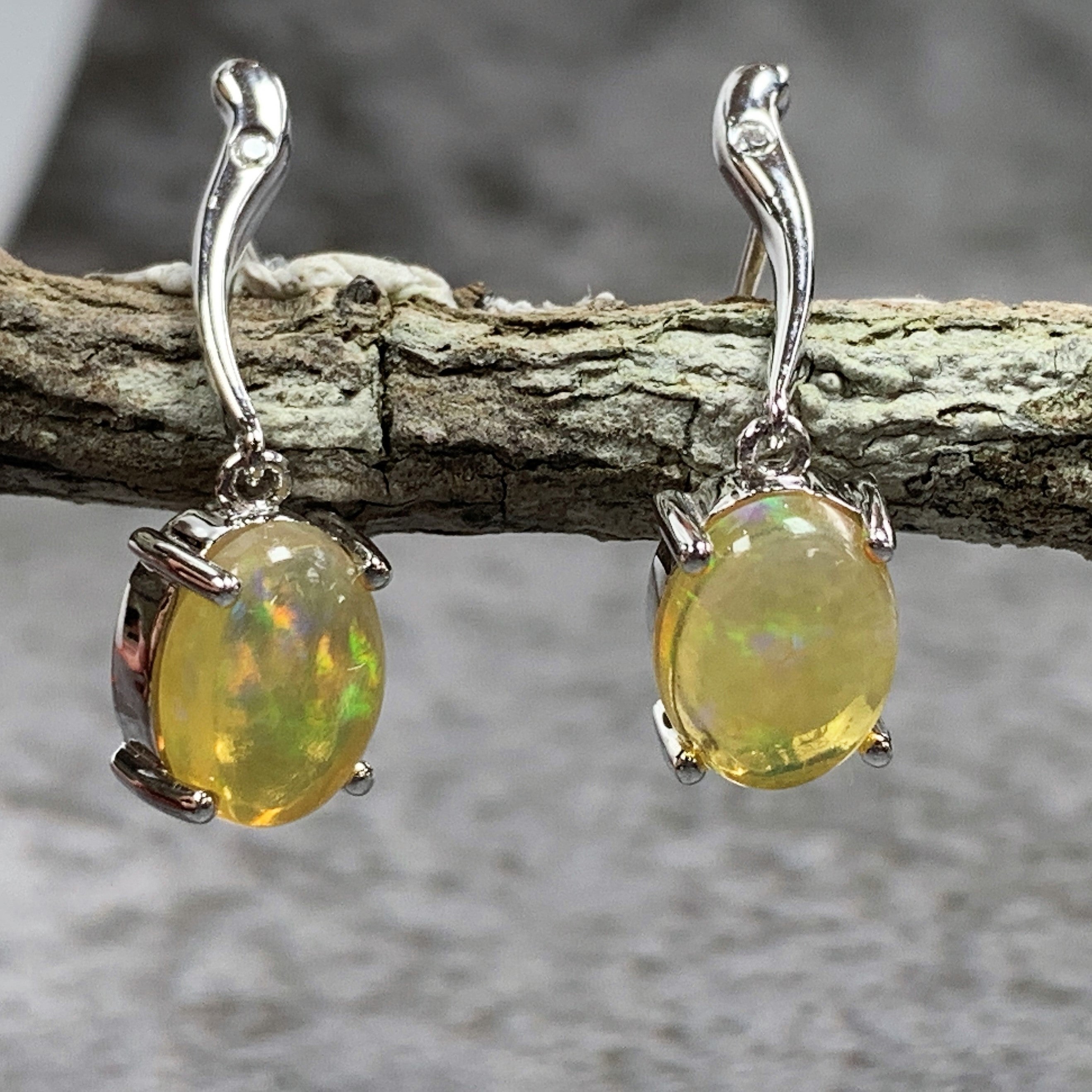 Sterling Silver 9x7mm Light Yellow Opal dangling earrings - Masterpiece Jewellery Opal & Gems Sydney Australia | Online Shop